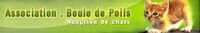 Site d'adoption partenaire